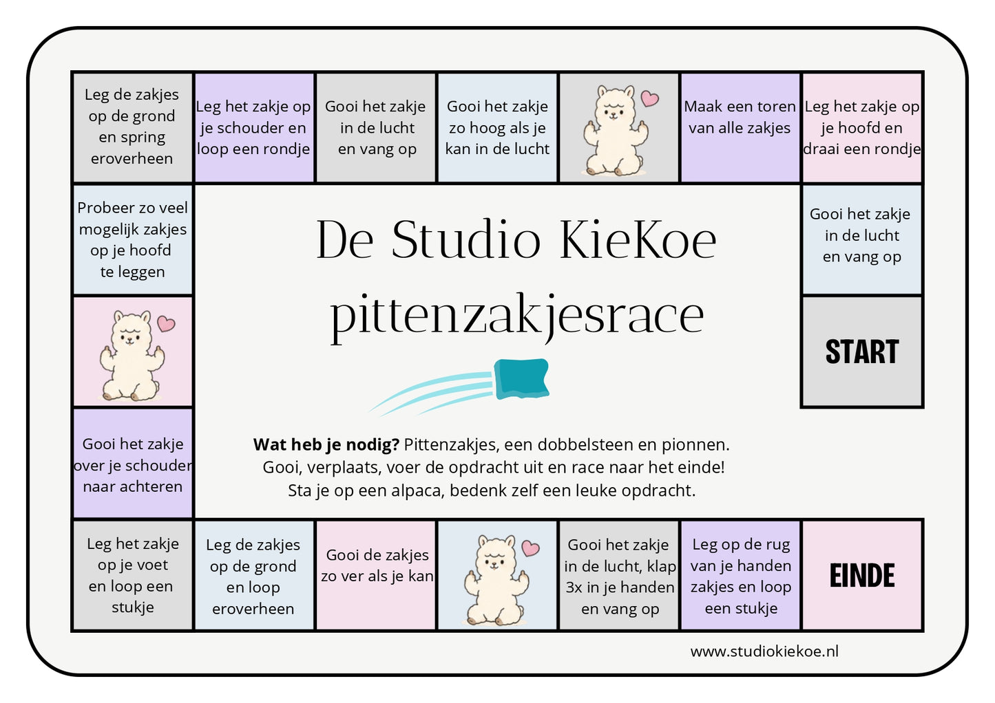 Pittenzakjesrace